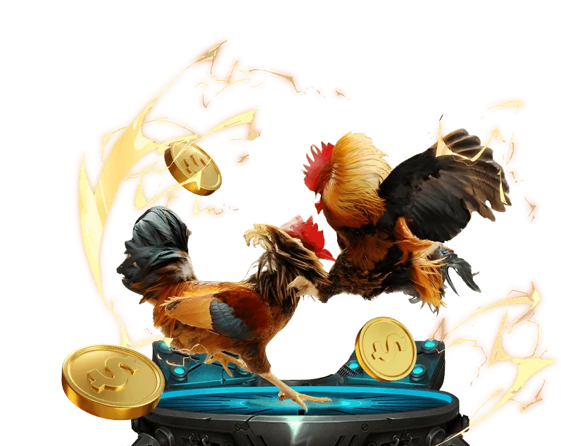 VZ99 Đá Gà Trực Tuyến